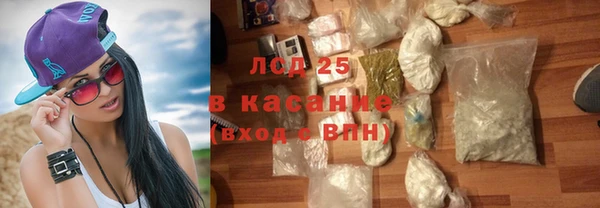 сатива Сосновый Бор