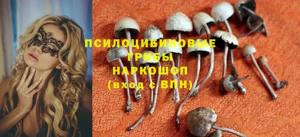 сатива Сосновый Бор