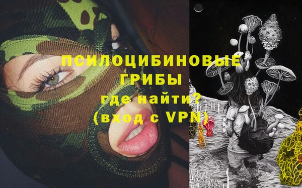стафф Армянск