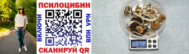 OMG маркетплейс  Калязин  Галлюциногенные грибы MAGIC MUSHROOMS  где продают наркотики 